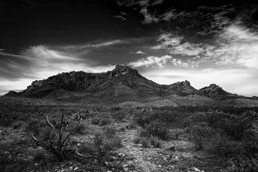 Big Bend National Park TX
