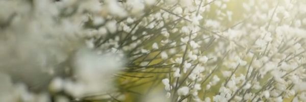 https://img1.wsimg.com/isteam/ip/ed303b6d-547e-4136-97ca-11b58d80c329/thumbnails/thumbnail-bde7b79a-9b0a-470b-b3c4-25df3febf673.png