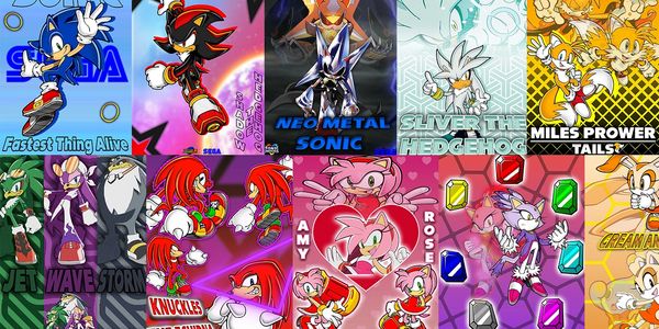 Collage of Sonic the Hedgehog characters with vibrant backgrounds and names.