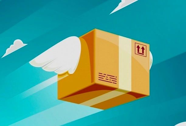parcel-in-flight