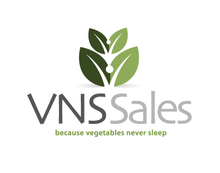 VNS-Sales