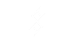 F.L.I.P. 
the world