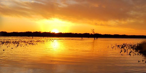 Custom handmade lure fishing with the Multi-Rig from lifelures.com. Nice sunset on Reelfoot lake.