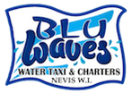Blu Waves-Water Taxi & Charters
