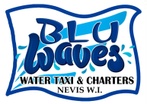 Blu Waves-Water Taxi & Charters