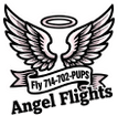 Angel Flights.net