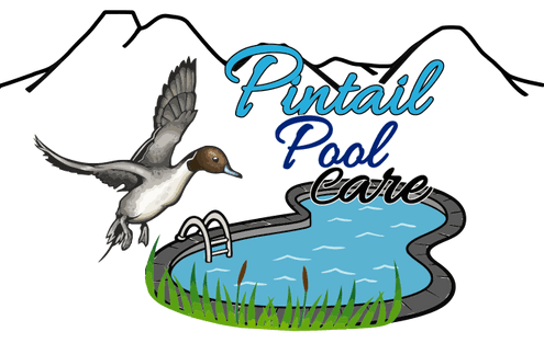 Pintail Pool Care