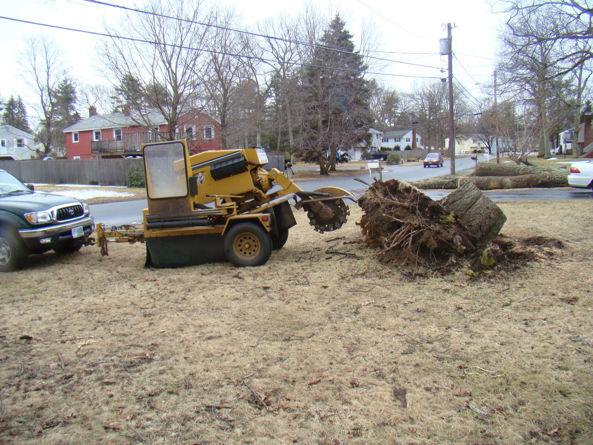 Ed's Stump Grinding Services Services MA & NH