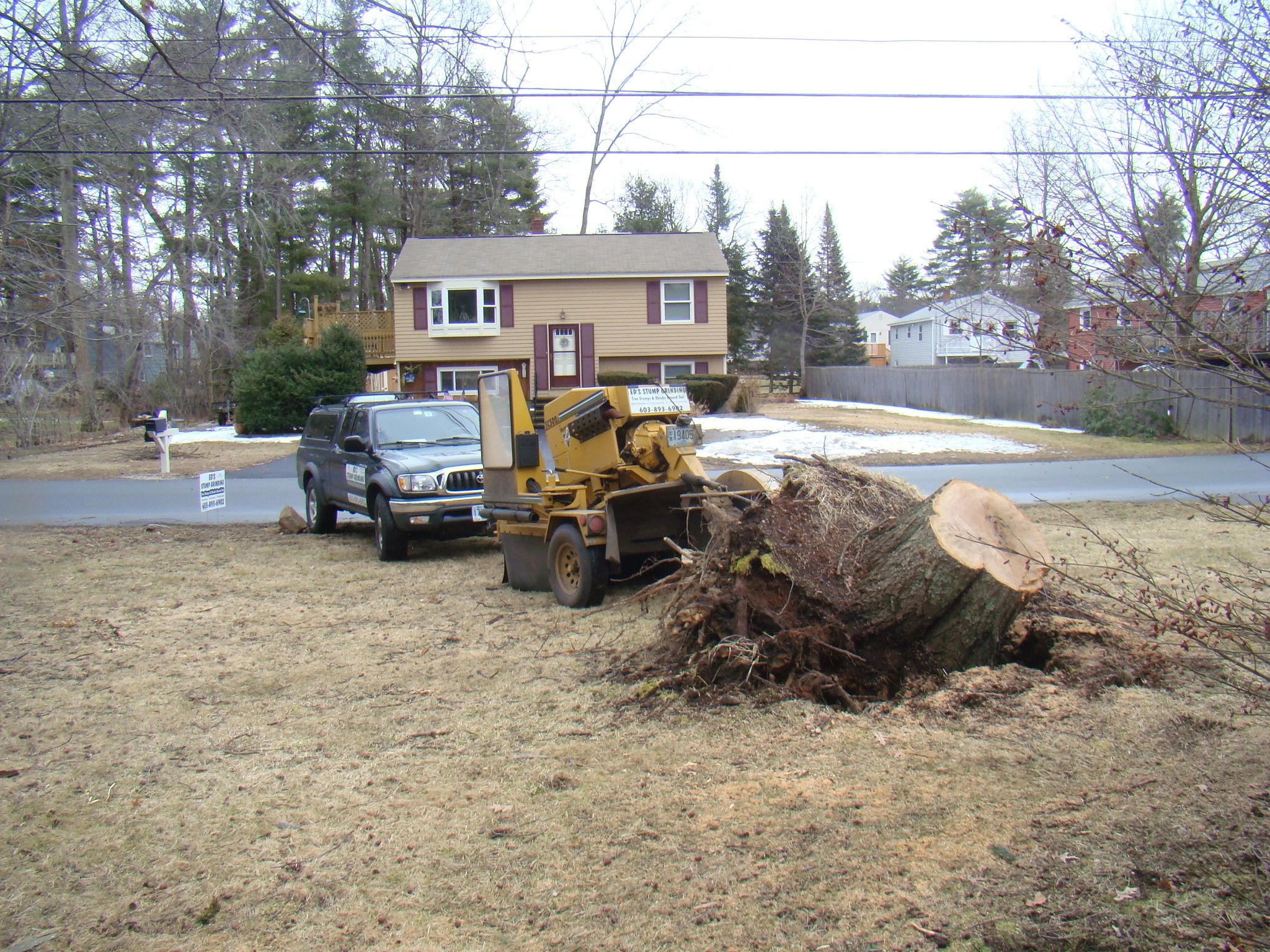 Ed's Stump Grinding Services Services MA & NH