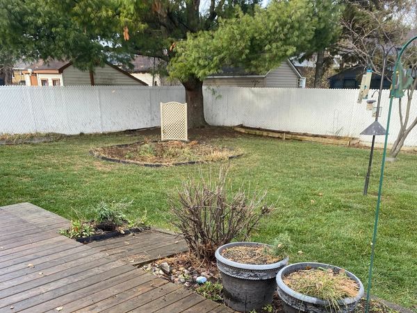 Un jardin avec pelouse, arbre et pots de fleurs.