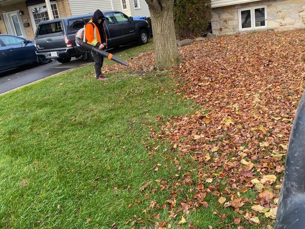 Personne utilise un souffleur pour nettoyer les feuilles mortes.