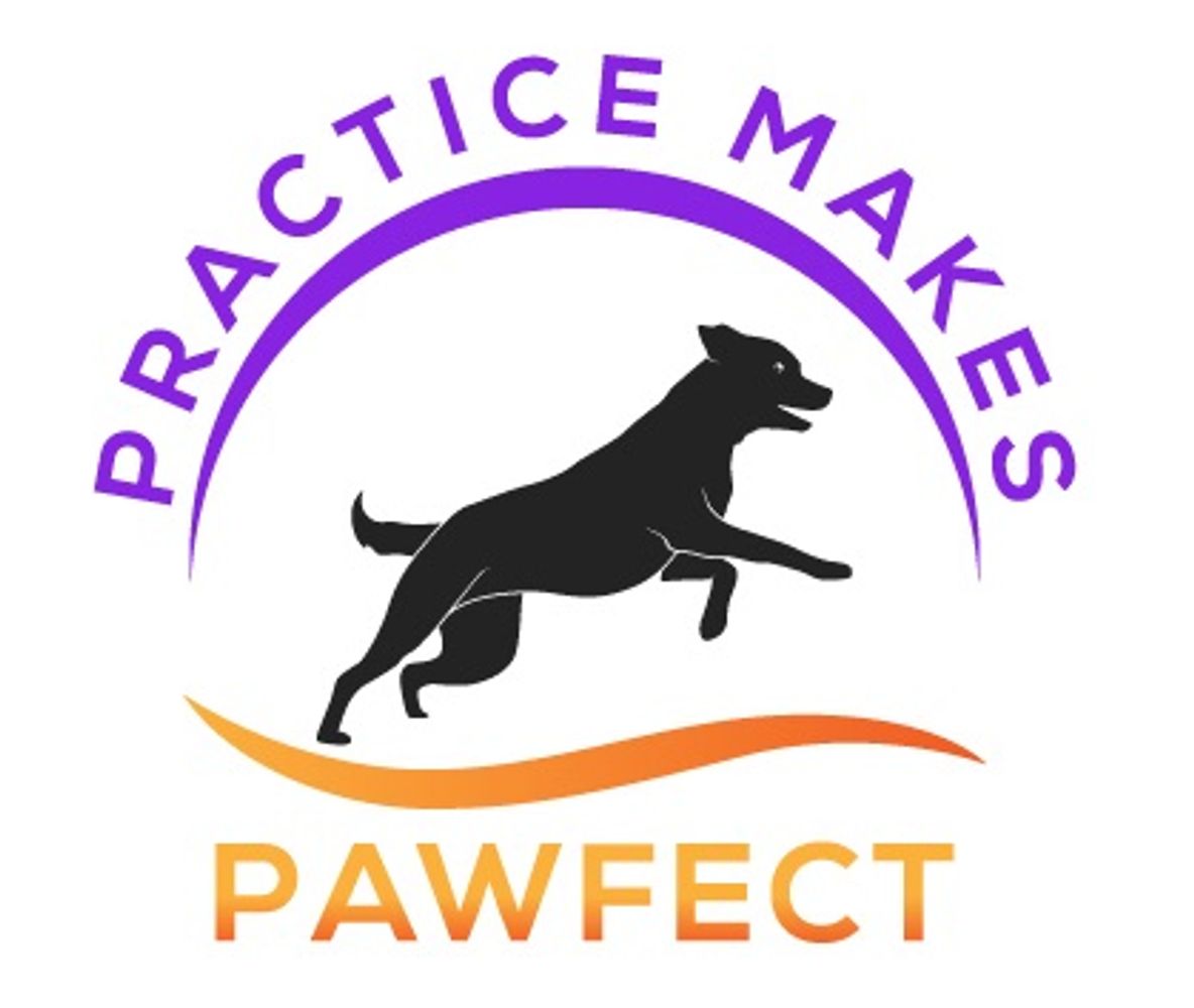 Practice Makes Pawfect, agility dog sports