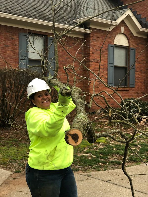 Tree Services in Williamson County.