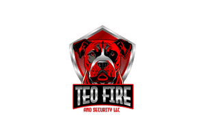 Teo fire and Security