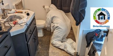 Expert mold removal