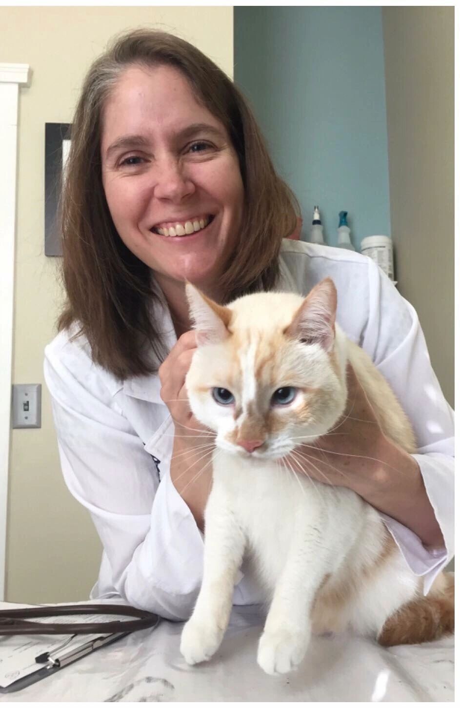 Seven Cedars Veterinary Acupuncture and Medicine Home