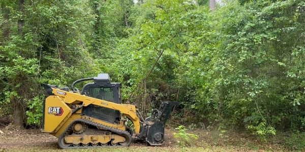 Yellow Caterpillar compact track loader near dense green trees.