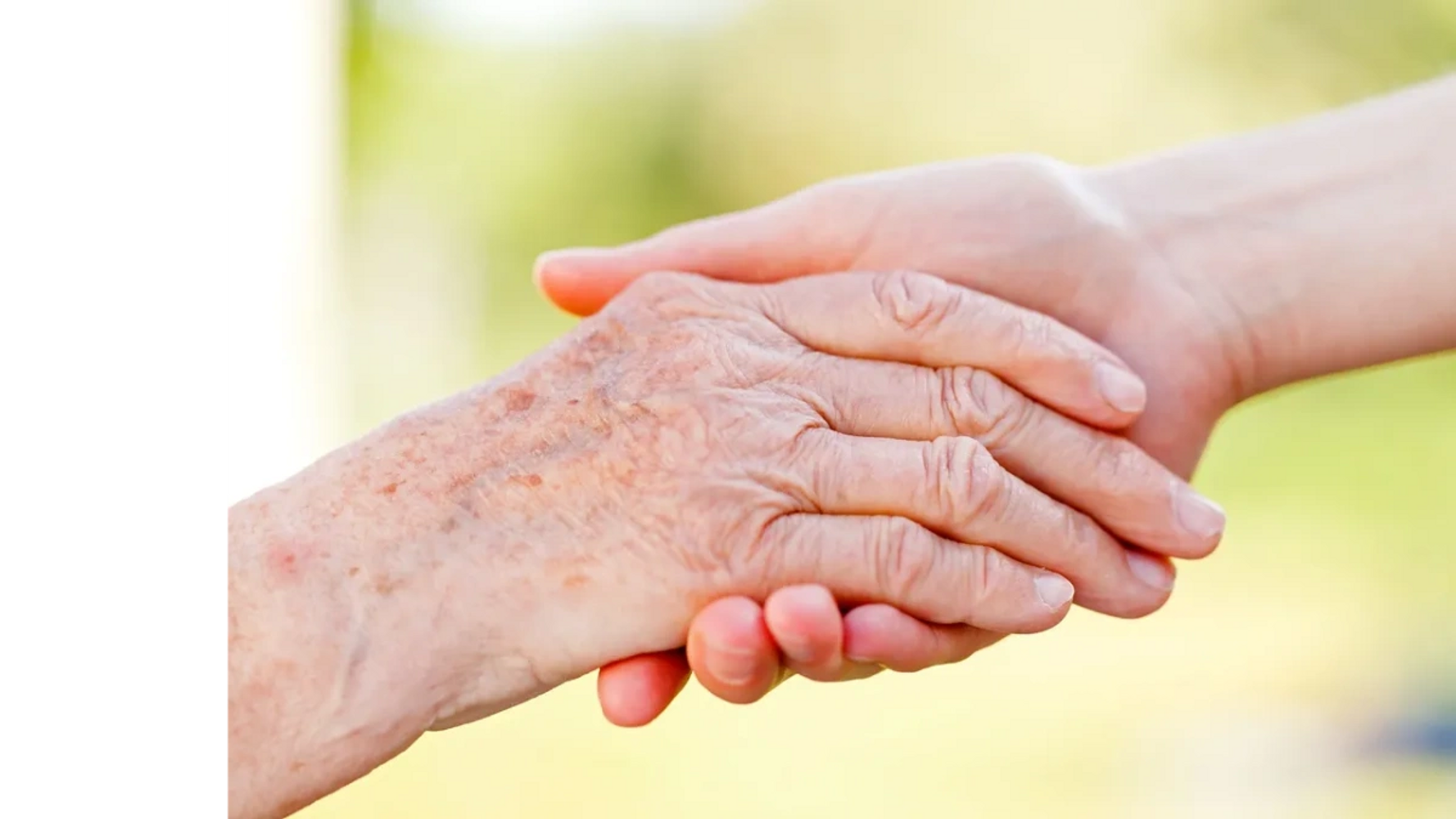 Young hand gently holding an elderly hand, symbolizing care.