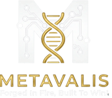 Metavalis Inc.