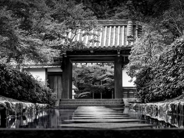 Black and white photo of a traditional Japanese gate with a reflective water pathway.