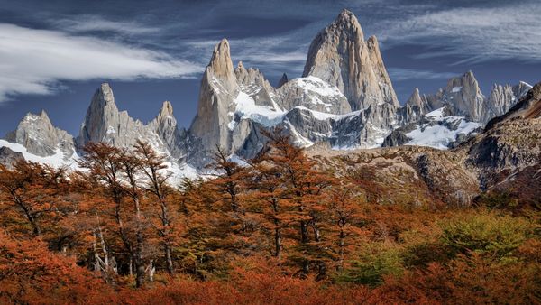 Snow-capped rugged mountains tower over a forest with autumn foliage.