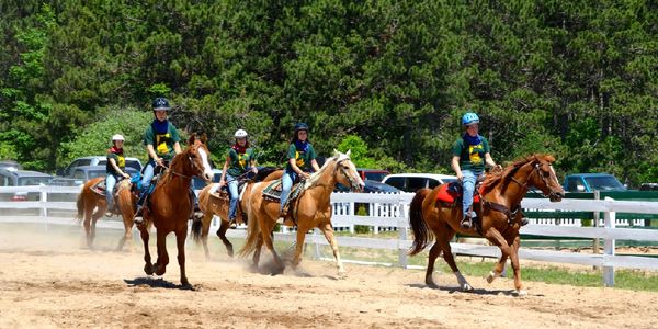 students learning to trot