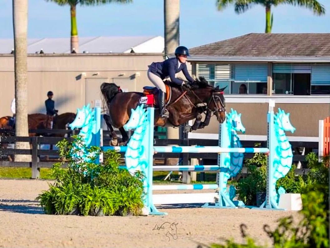 Equestrian jumps over blue seahorse-themed obstacle.