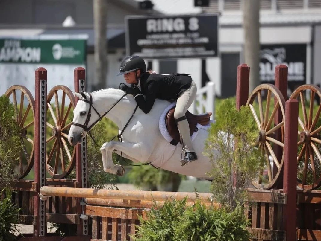 Rider and horse jumping over an obstacle during an equestrian event.