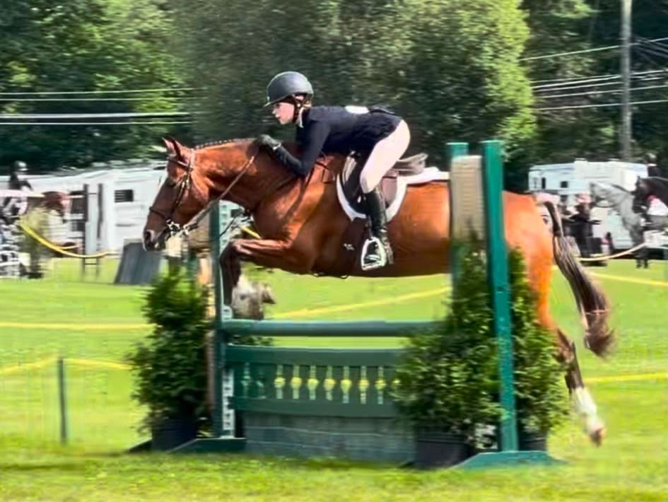 Horse and rider clearing a jump in equestrian event.