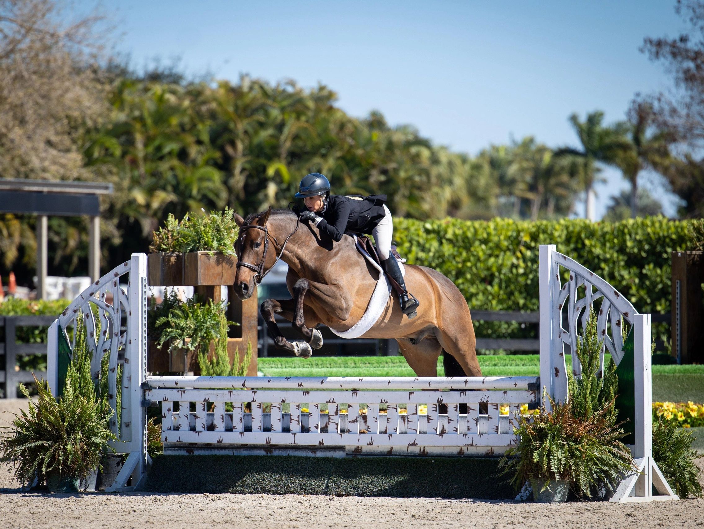 Equestrian athlete jumping over an obstacle with their horse.