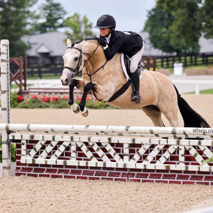 Equestrian jumping over a hurdle.