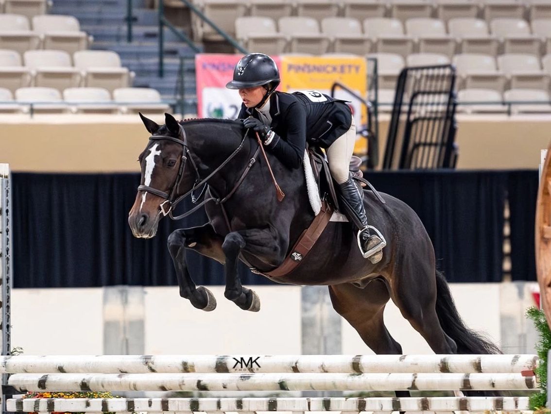 Equestrian rider jumping over a hurdle indoors.