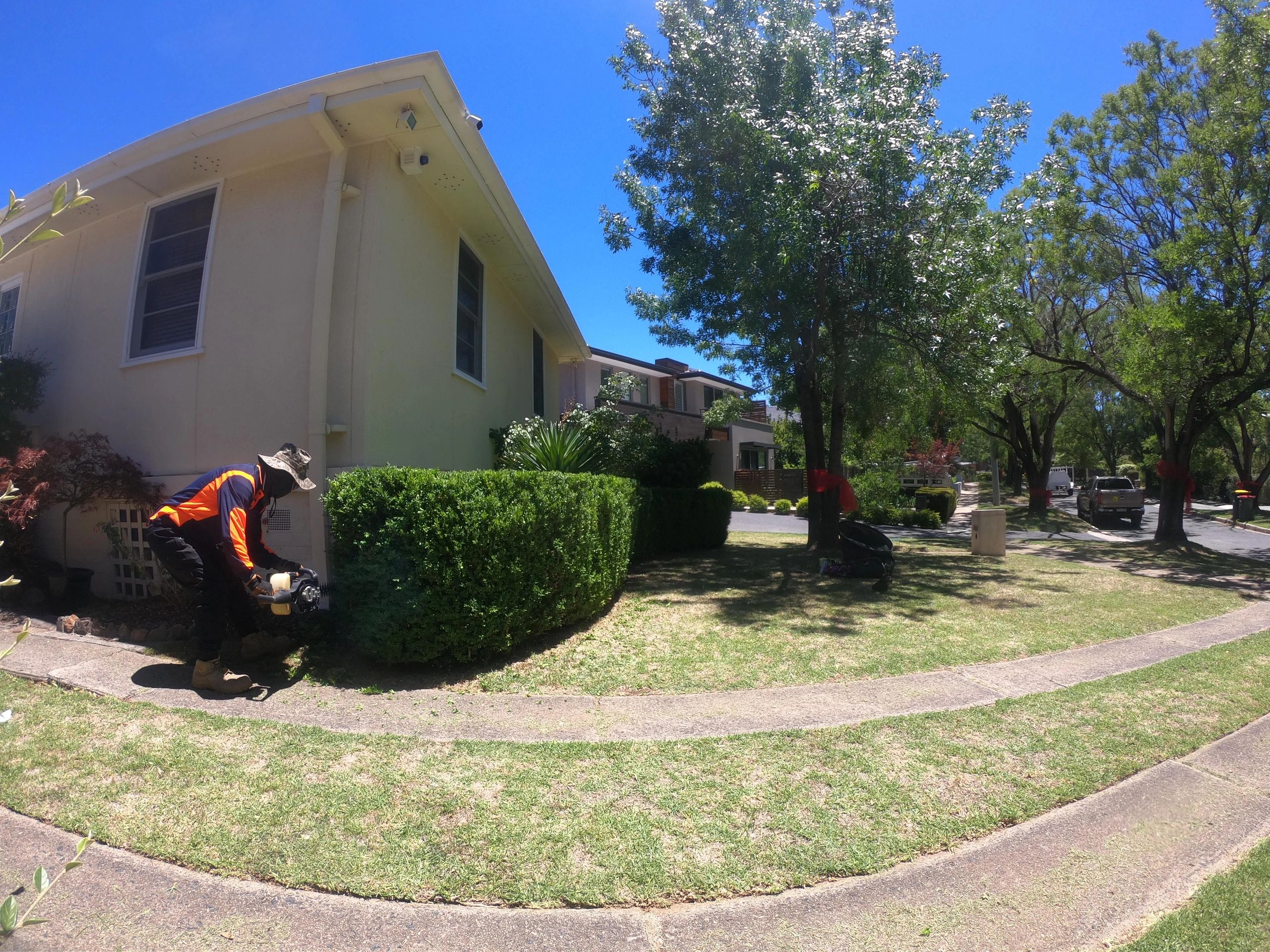 Mount Stromlo – Bush Block Autumn Care