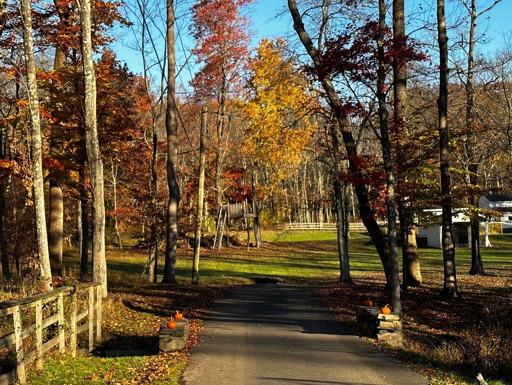 Meandering driveway leads to your AirBnB in Hopewell, NJ.