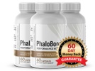 PhaloBoost Official