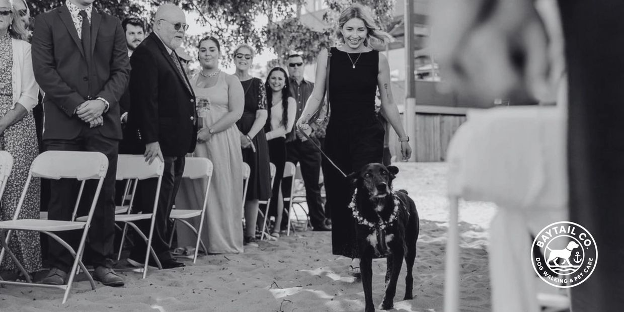 A woman walks a dog down a sandy aisle at an outdoor event with guests watching.