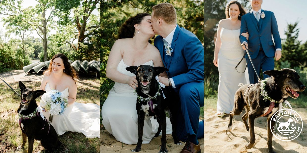Wedding couple with their dog outdoors, sharing joyful moments and a kiss.