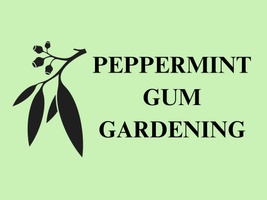 Peppermint Gum Gardening