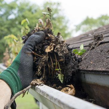 Gutter cleaning