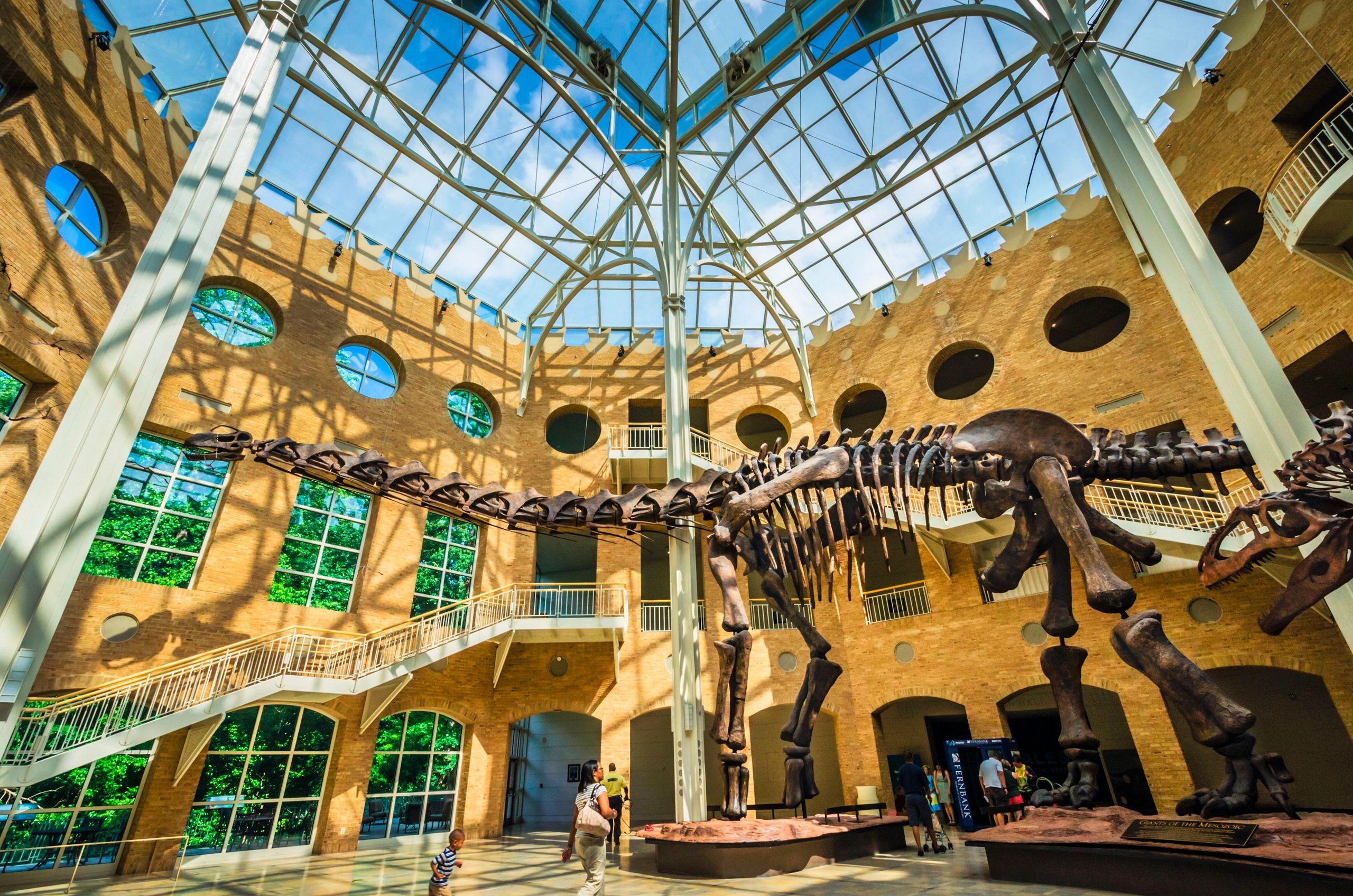 Exhibit-FernBank Museum of Natural History — ARTISTIC