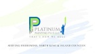 Platinum painting plus llc