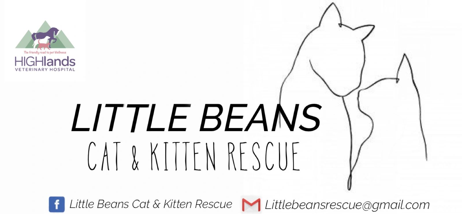 Available to adopt Little Beans Cat and Kitten Rescue