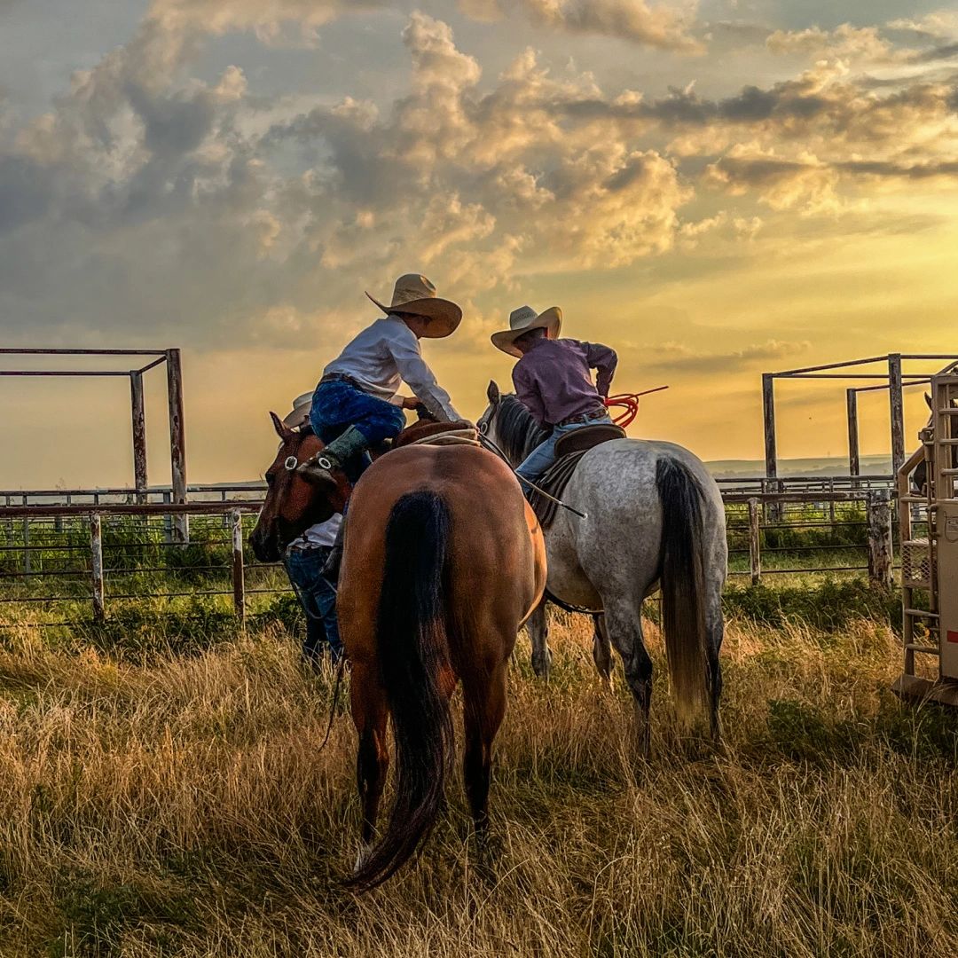 Grandsons on horses at the cattle pens and sunrise in Osage County, Oklahoma.