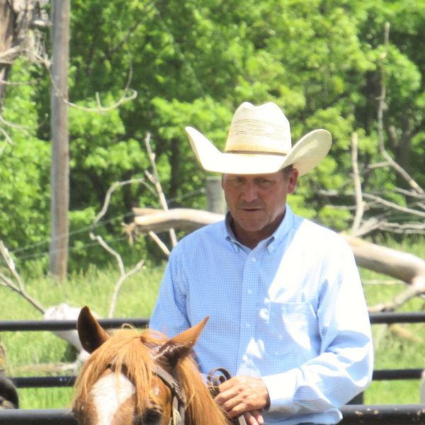 John Hurd in the cattle pens in Osage County, Oklahoma on his horse.