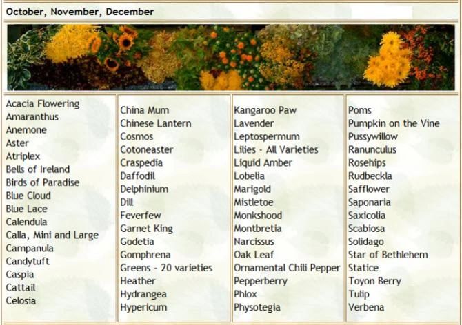 List of flowers that bloom in October, November, and December.