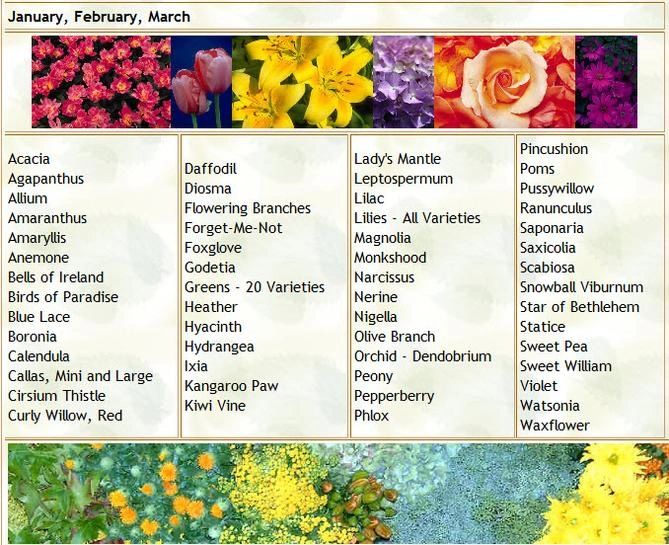 A floral guide listing flowers blooming in January, February, and March with images.