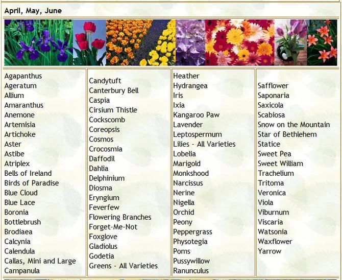 A list of flowers blooming in April, May, and June with colorful flower photos.