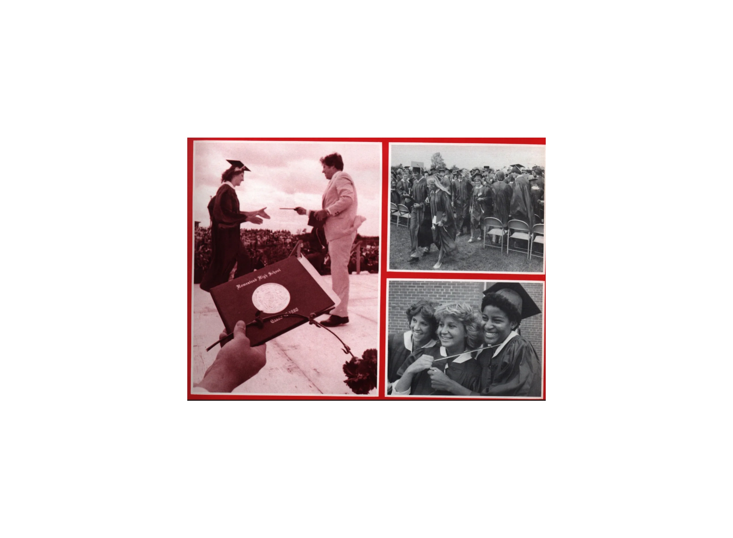 Homestead High School Class Of 1980 homestead-high-school-class-of-1980