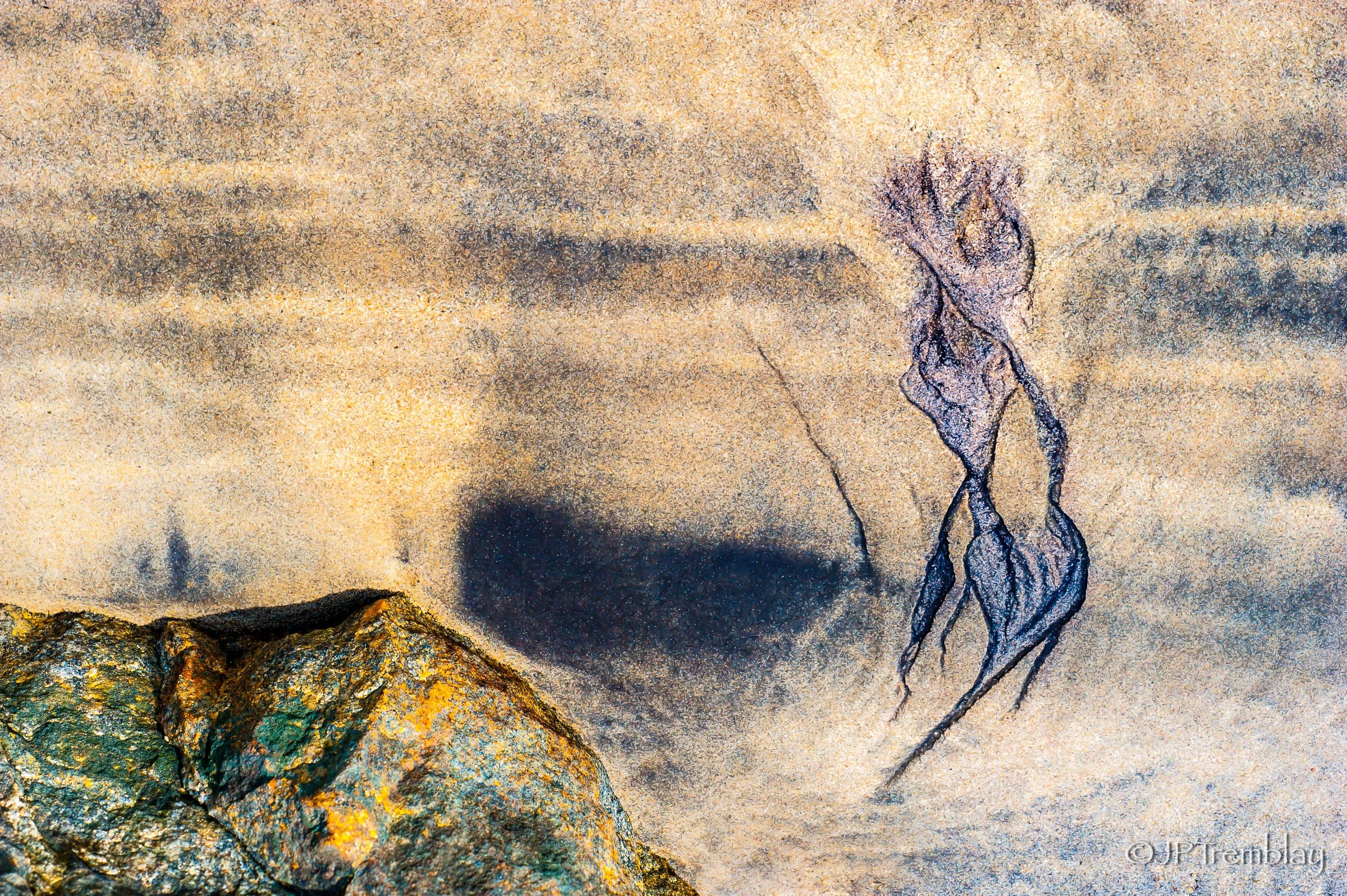 Blog JeanPierre Tremblay Artiste photographe JeanPierre