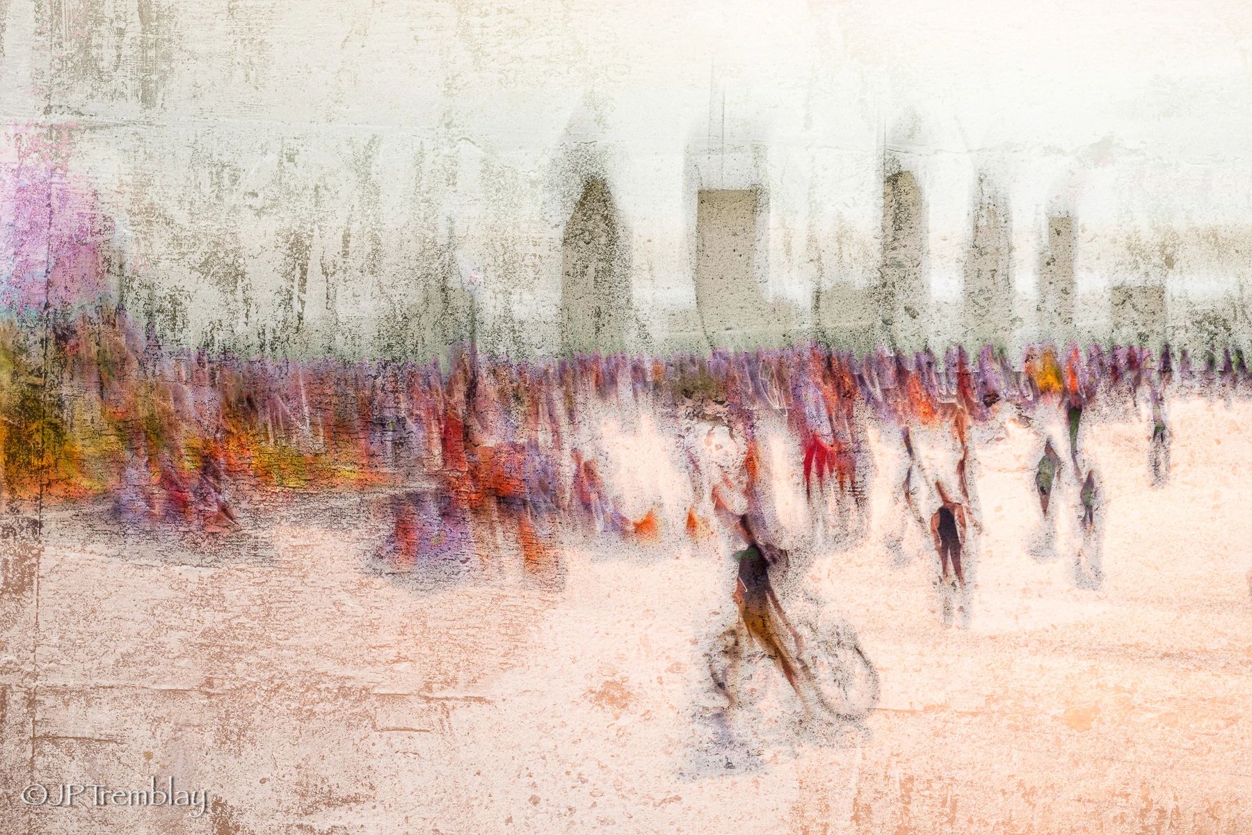 Macrophotographie JeanPierre Tremblay Artiste photographe